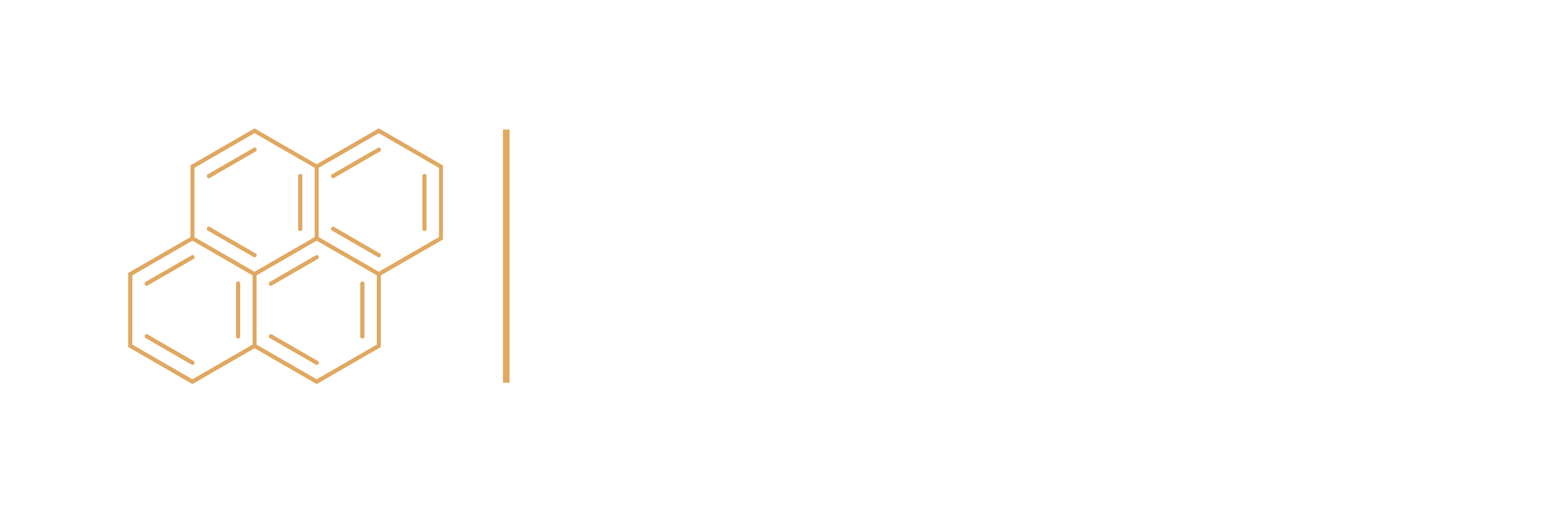 Performance Collective